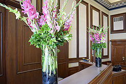 TIMELESS TACOMA TREASURES